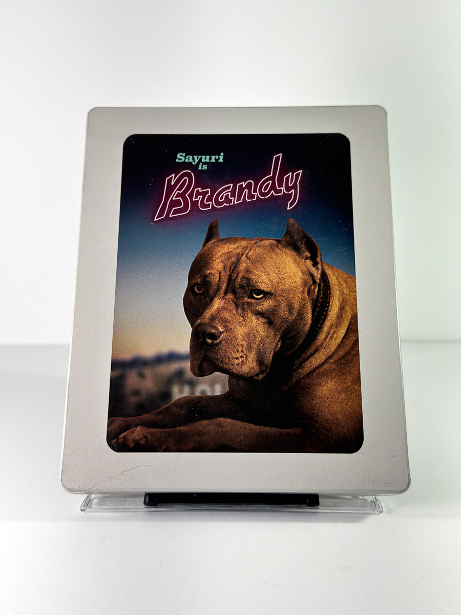 Bakside av cover til Once Upon a Time in... Hollywood på Blu-ray